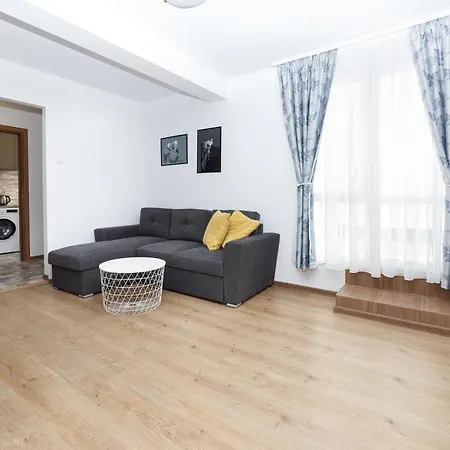 Apartmán Rooftop Street Doamnei *