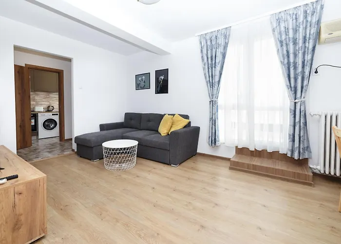 Apartament Rooftop Street Doamnei *